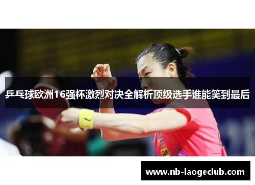 乒乓球欧洲16强杯激烈对决全解析顶级选手谁能笑到最后