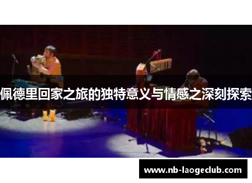 佩德里回家之旅的独特意义与情感之深刻探索