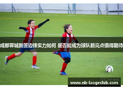 成都蓉城新签边锋实力如何 是否能成为球队新亮点值得期待