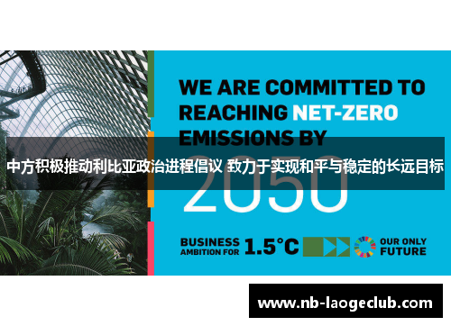 中方积极推动利比亚政治进程倡议 致力于实现和平与稳定的长远目标