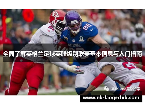 全面了解英格兰足球英联级别联赛基本信息与入门指南