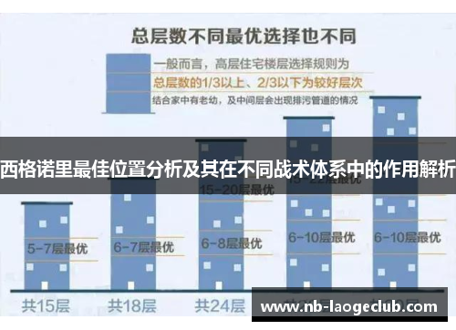 西格诺里最佳位置分析及其在不同战术体系中的作用解析