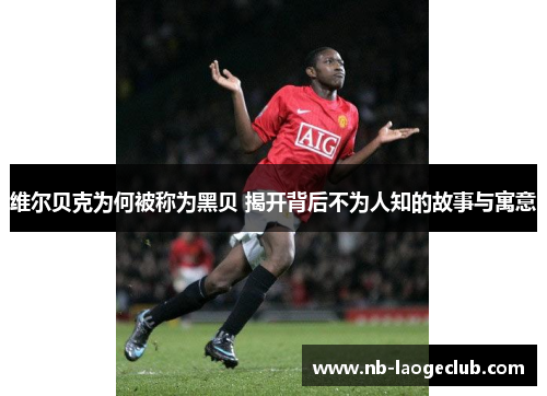 维尔贝克为何被称为黑贝 揭开背后不为人知的故事与寓意